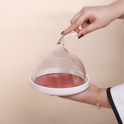 قاعدة سيراميك مع ( غطاء شفاف ضد الكسر)  من مجموعة الحُلِي - أحمر - صغير