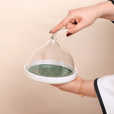 قاعدة سيراميك مع ( غطاء شفاف ضد الكسر)  من مجموعة الحُلِي - أخضر - صغير